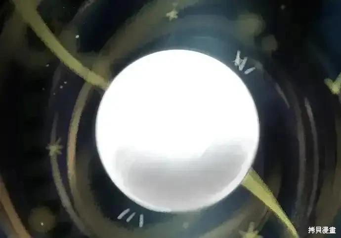 第 147 页