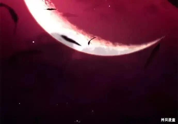 第 213 页