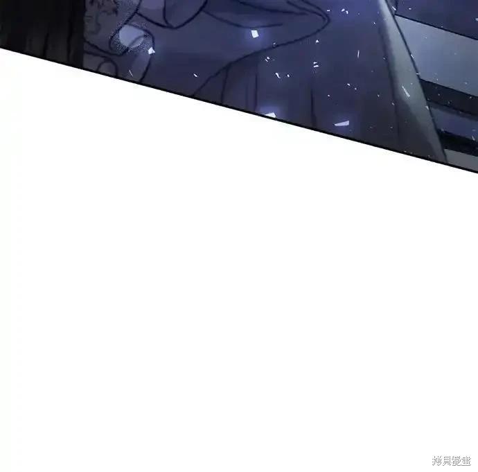 第 219 页