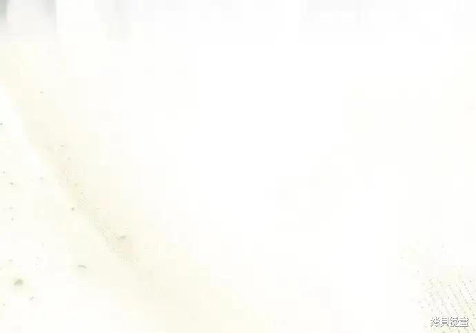 第 194 页