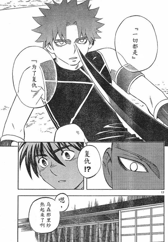 第 17 页