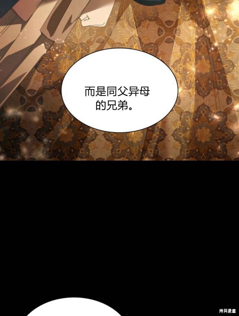 第 110 页