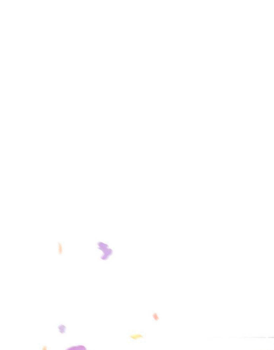 第 97 页