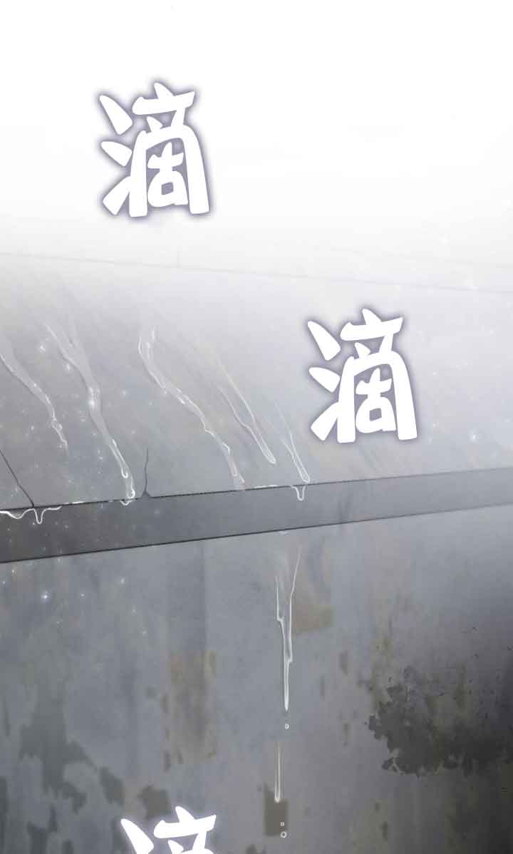 第 101 页
