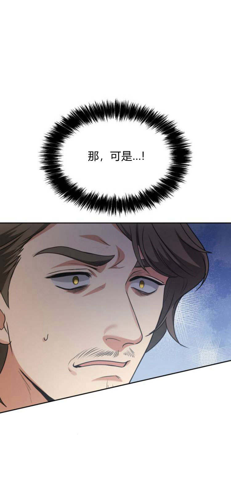 第 121 页