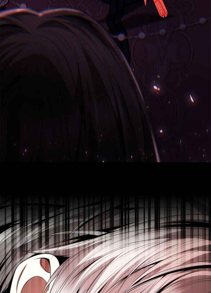 第 113 页