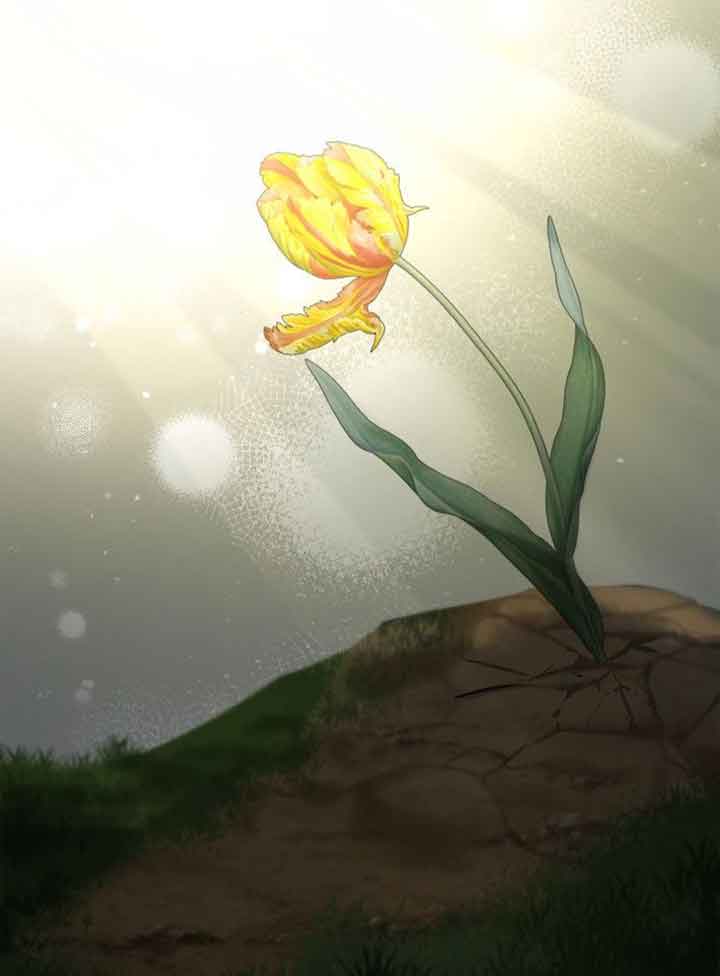 第 93 页