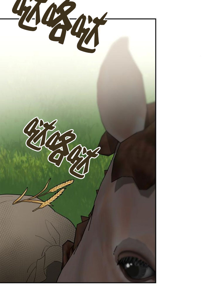 第 95 页