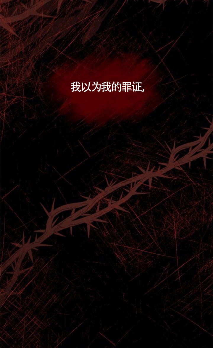 第 111 页