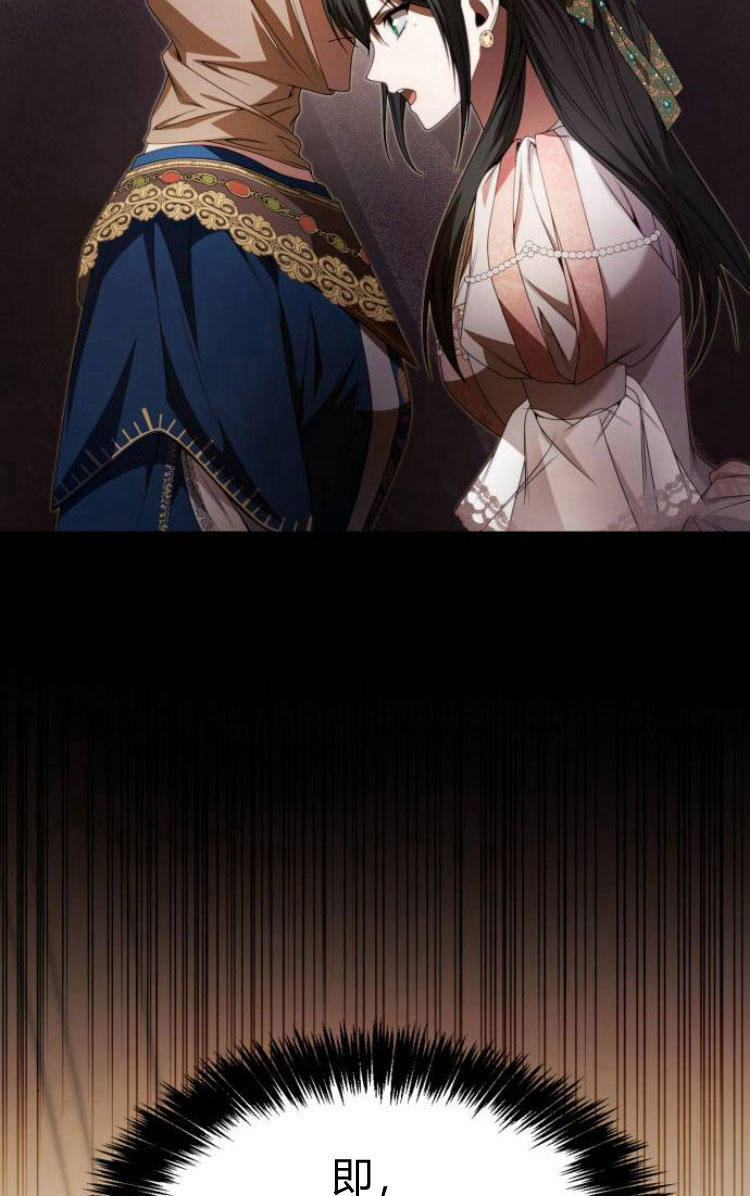 第 113 页