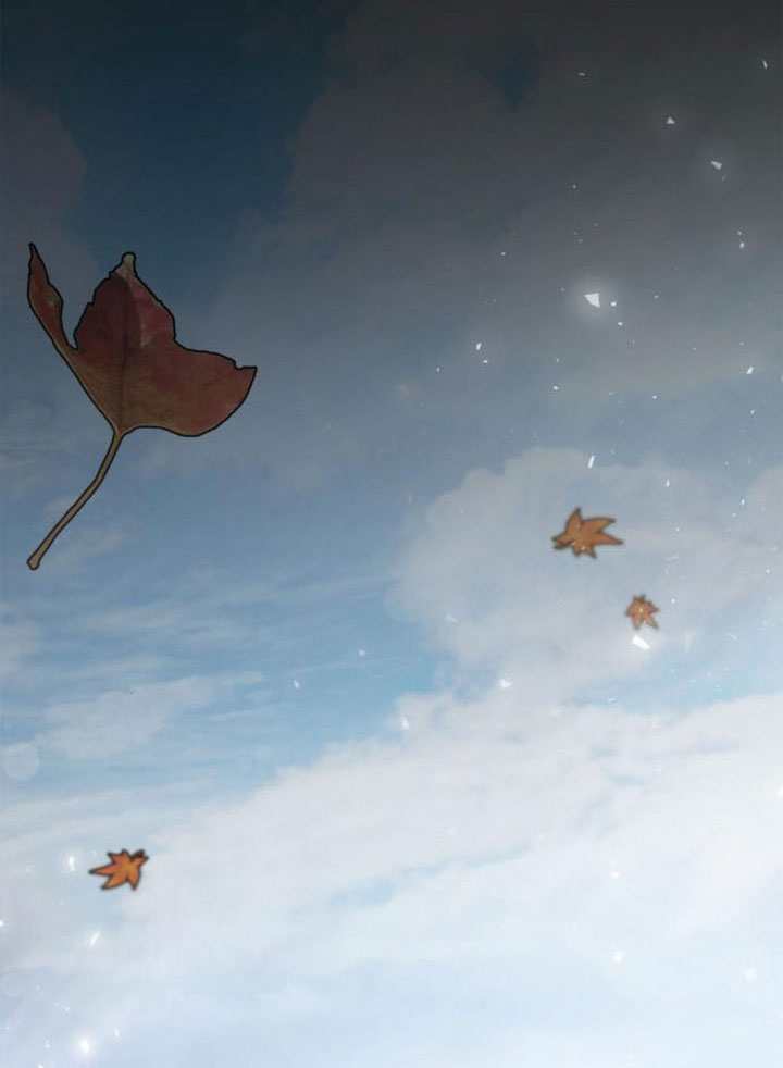 第 68 页