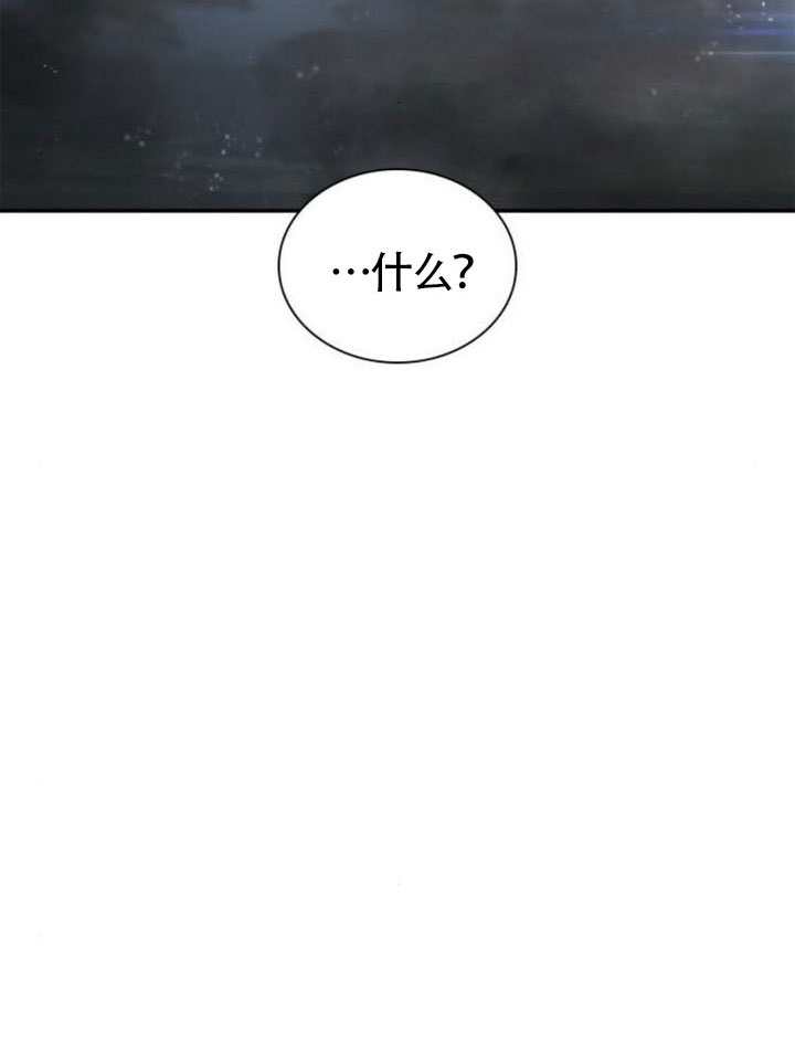 第 111 页