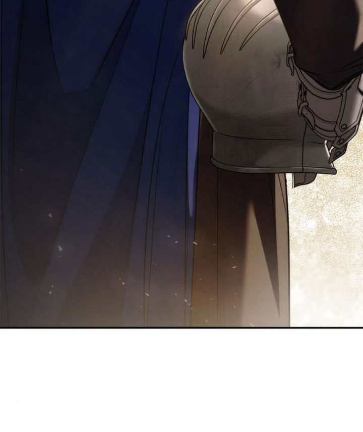 第 113 页