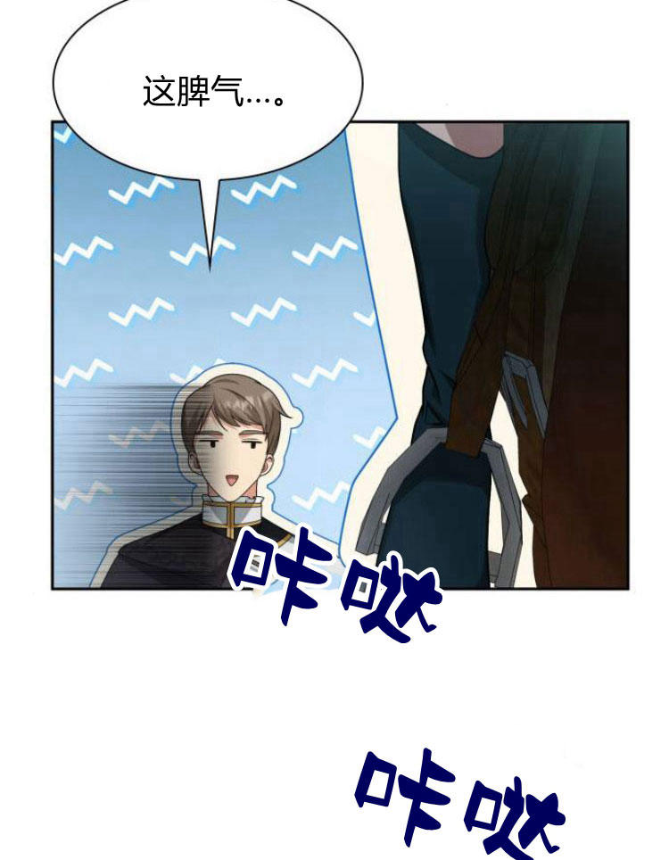 第 95 页