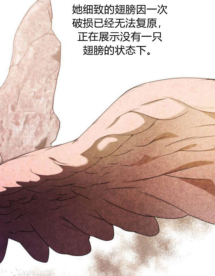 第 102 页