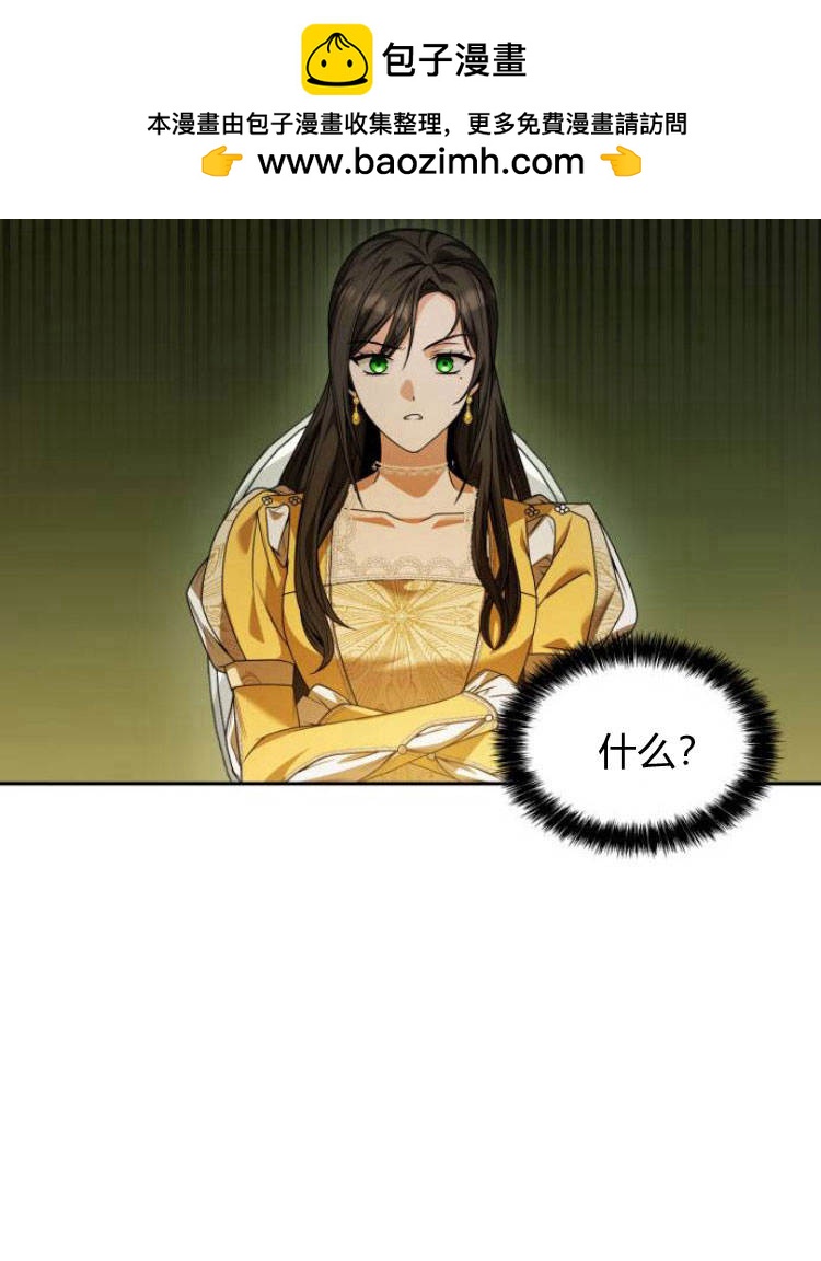 第 96 页