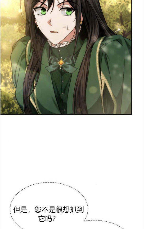 第 113 页