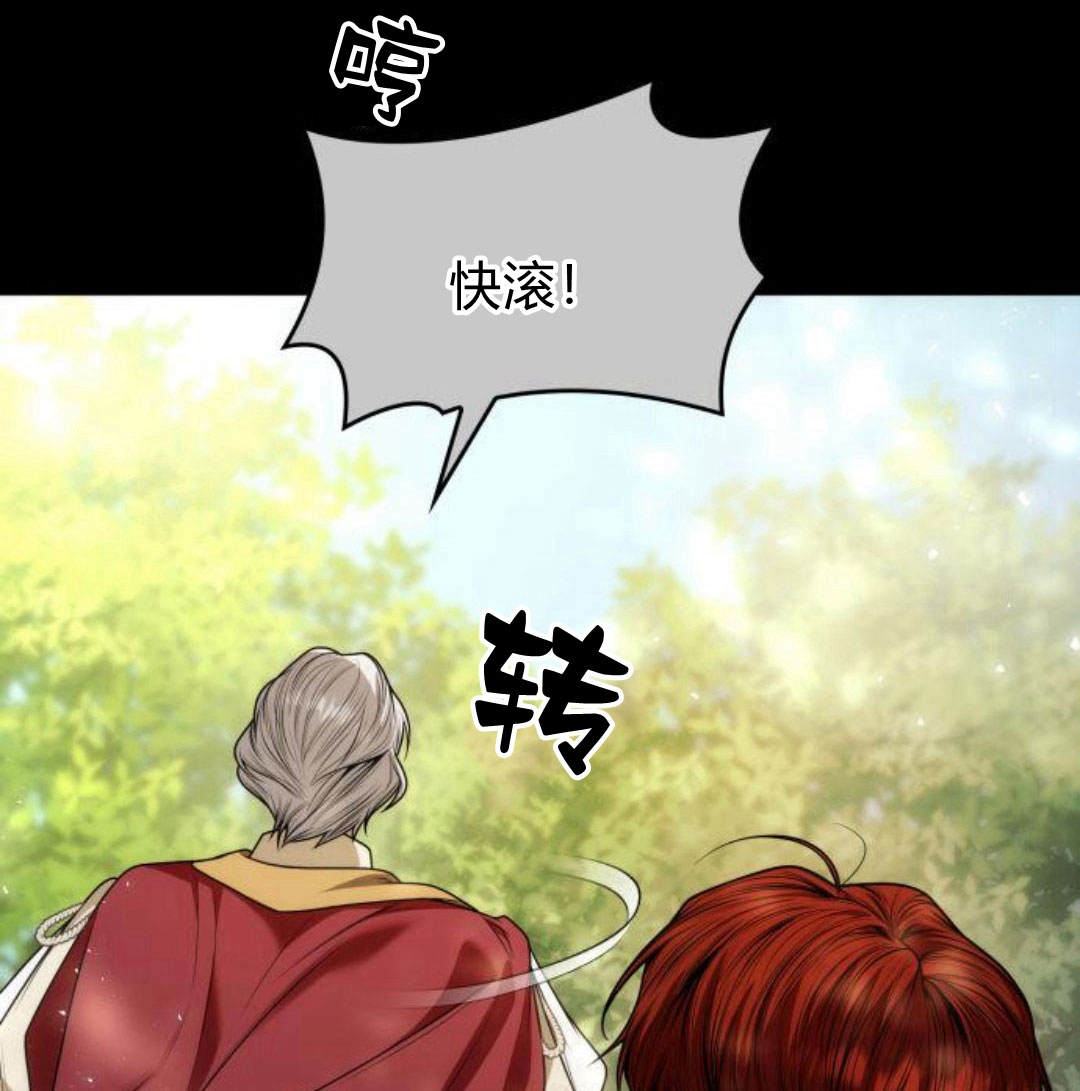 第 111 页