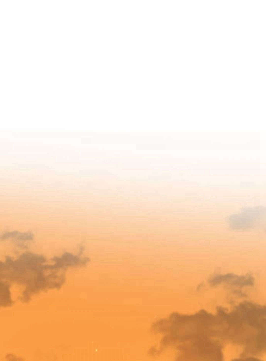 第 167 页
