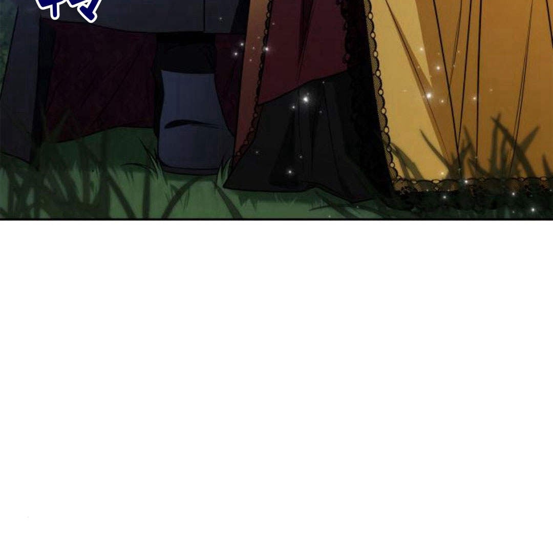 第 244 页