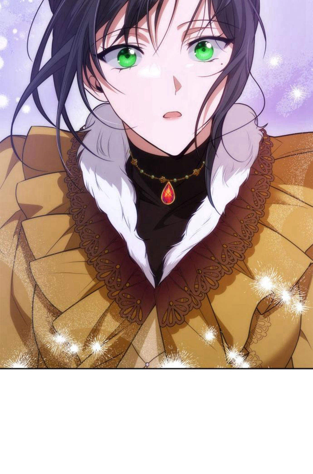 第 107 页