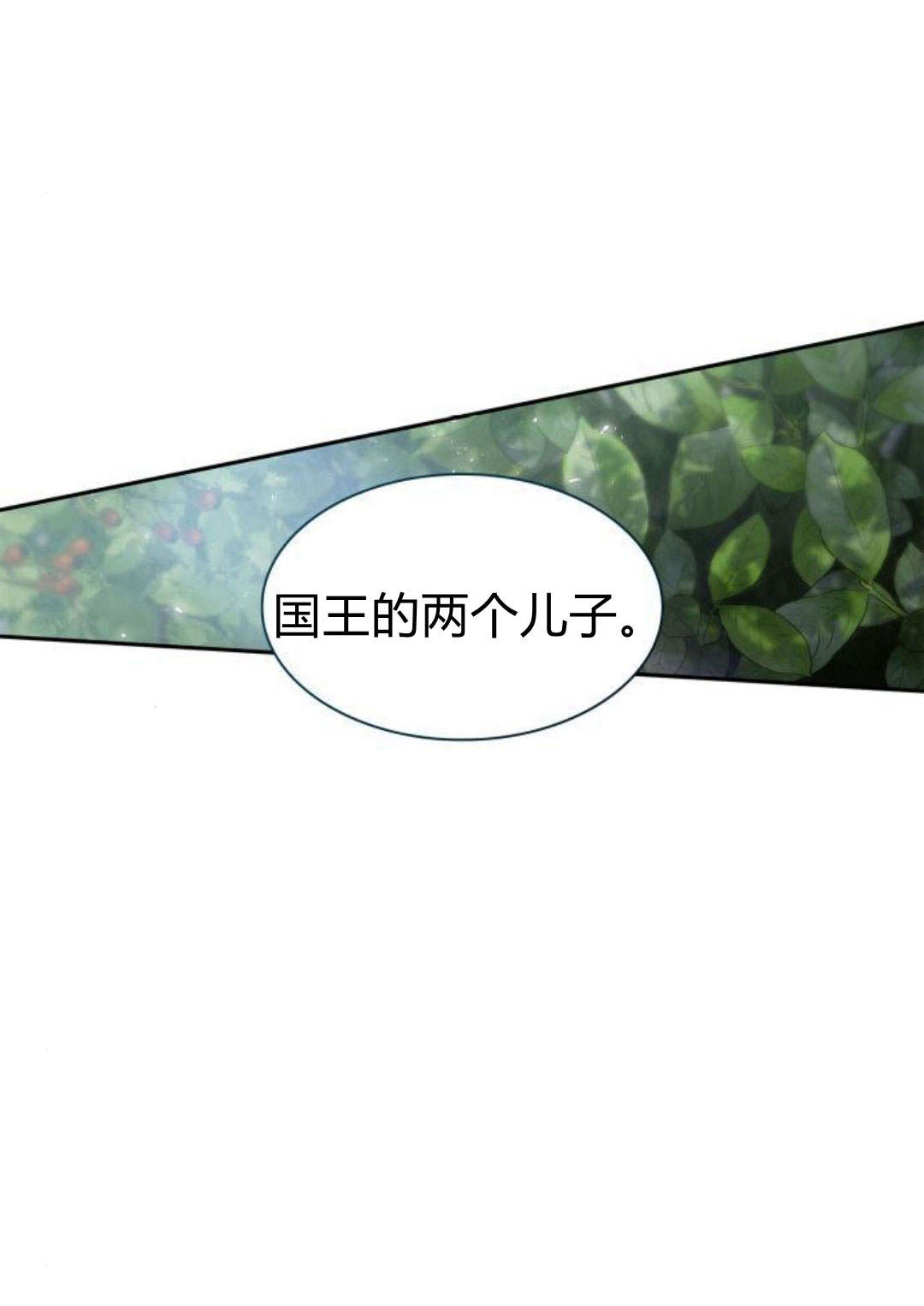 第 102 页
