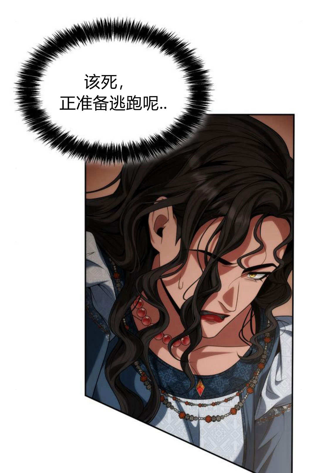 第 111 页