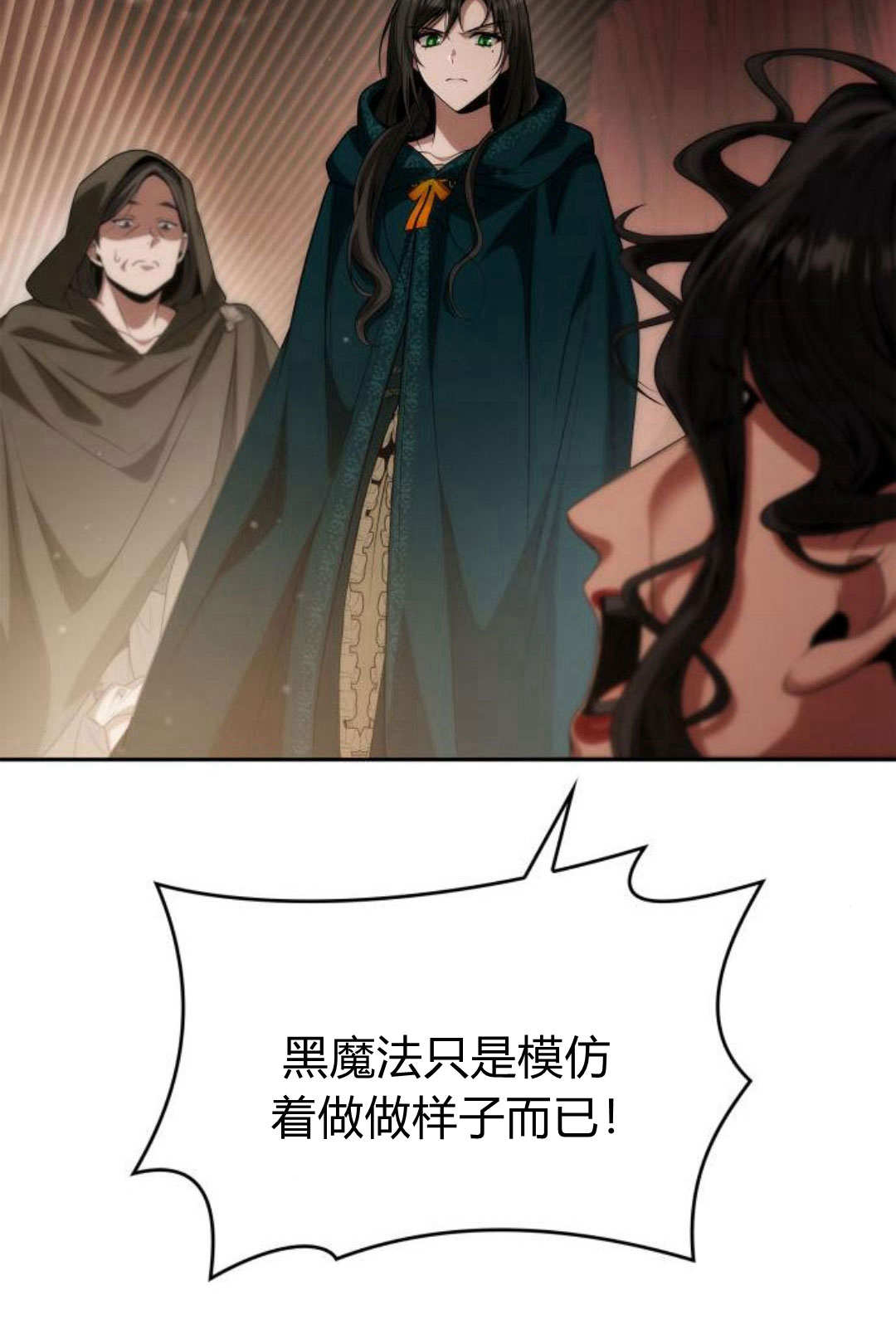 第 113 页