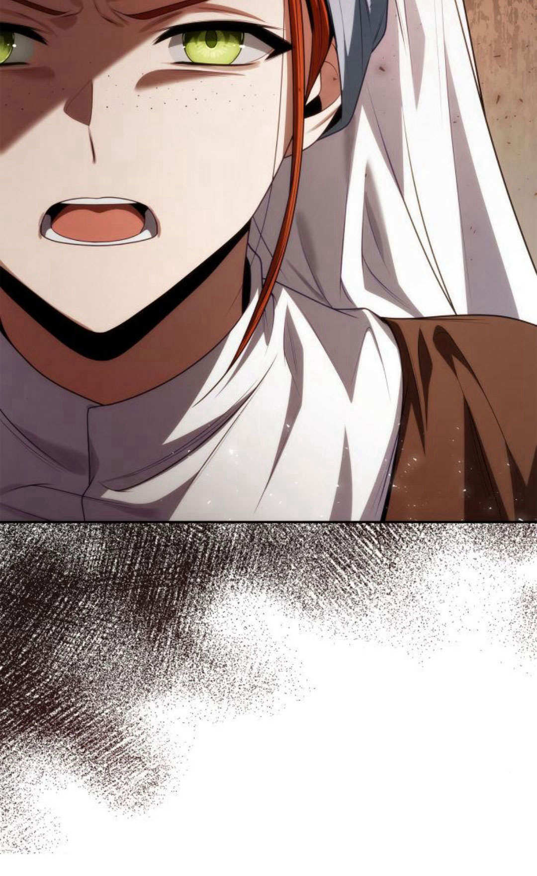 第 117 页