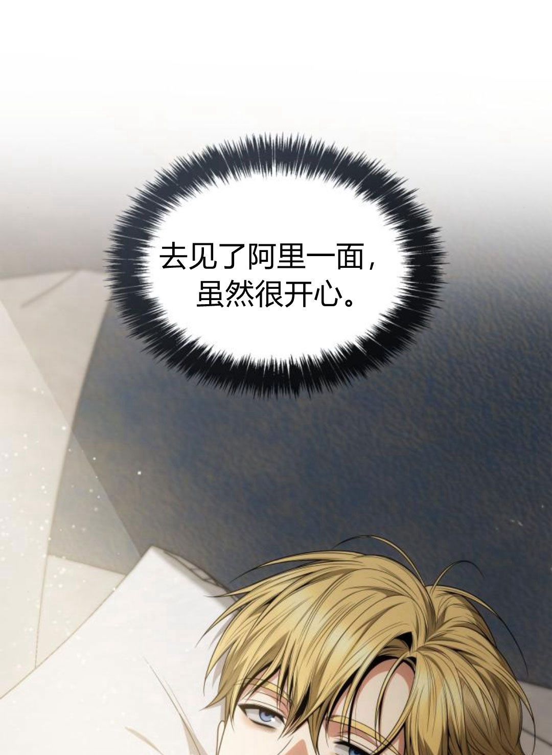 第 106 页