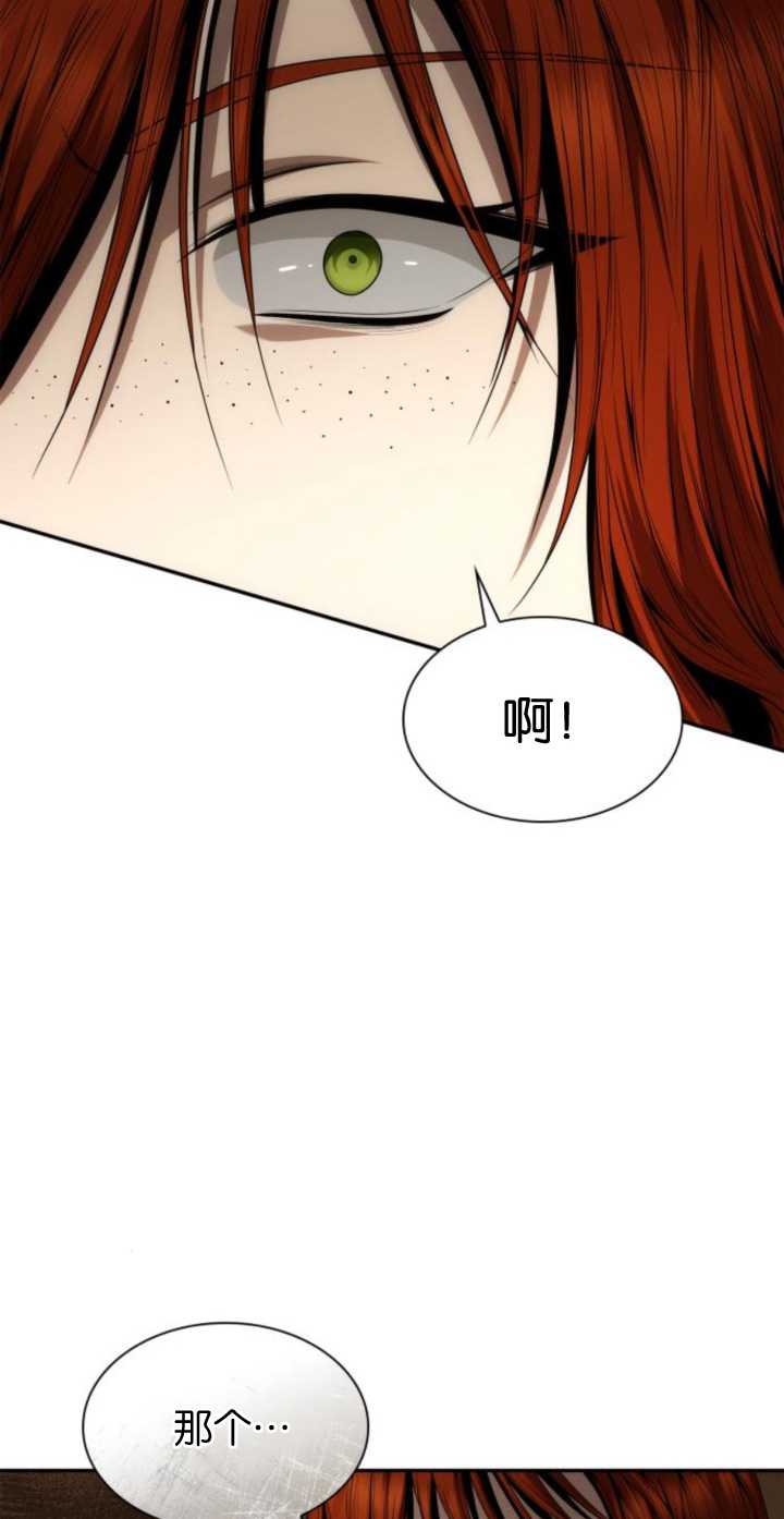 第 111 页