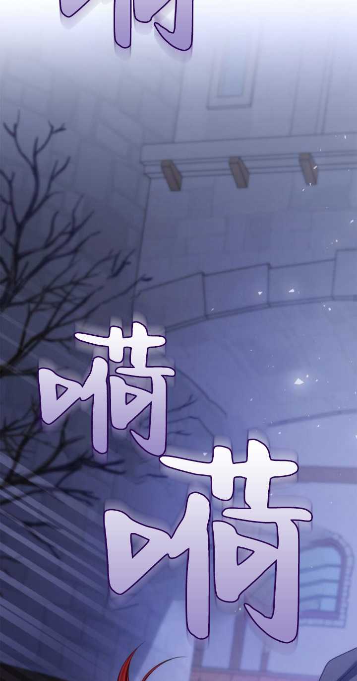 第 97 页