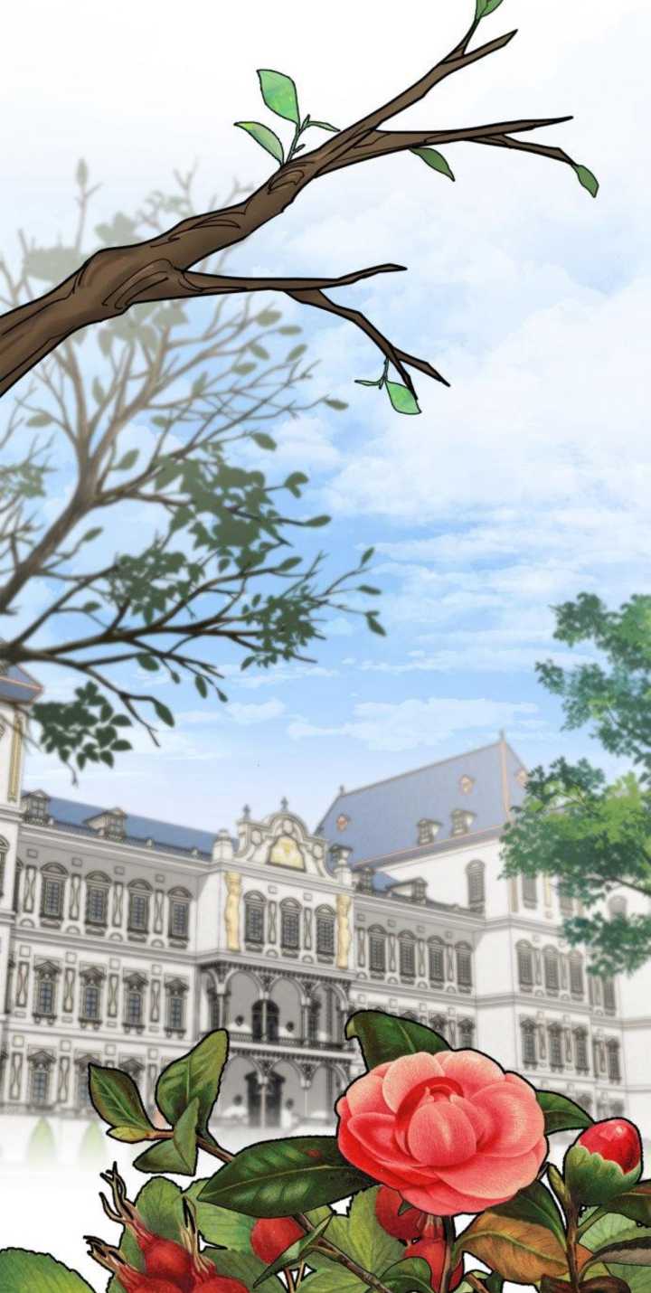 第 91 页