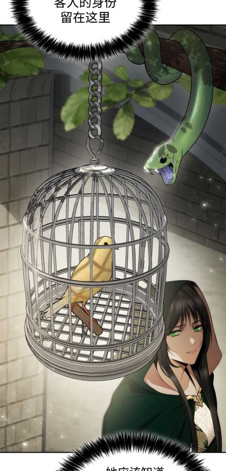 第 81 页