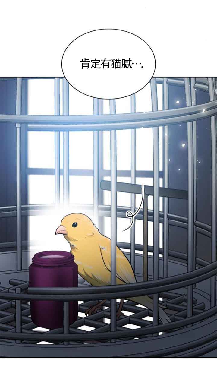 第 88 页