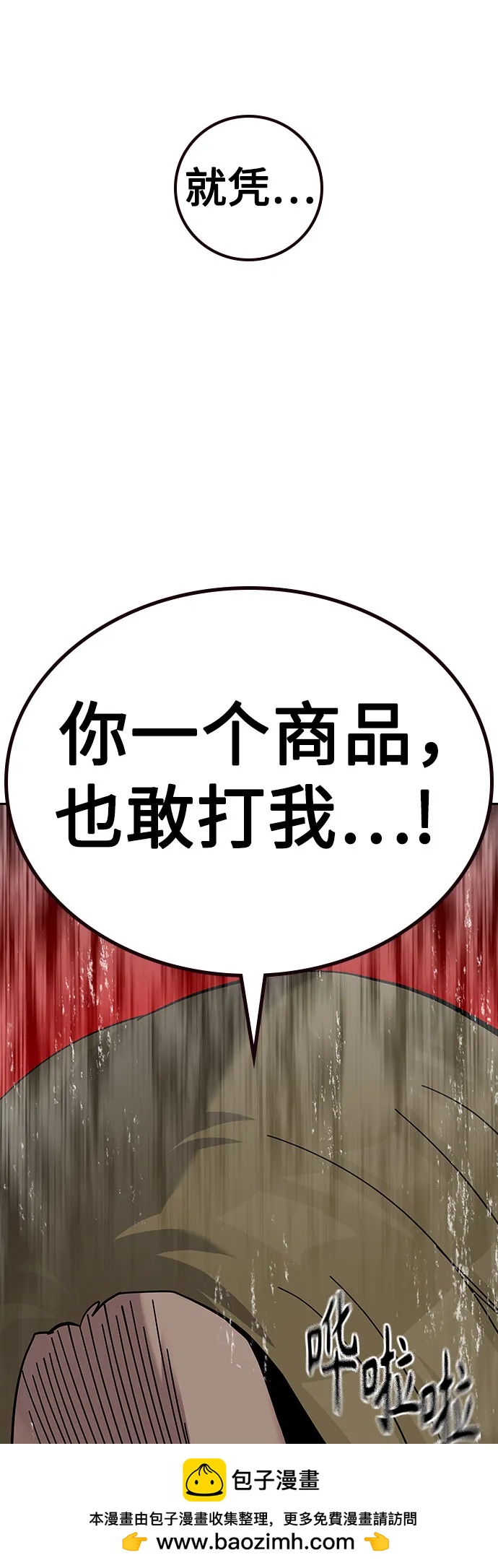第 100 页