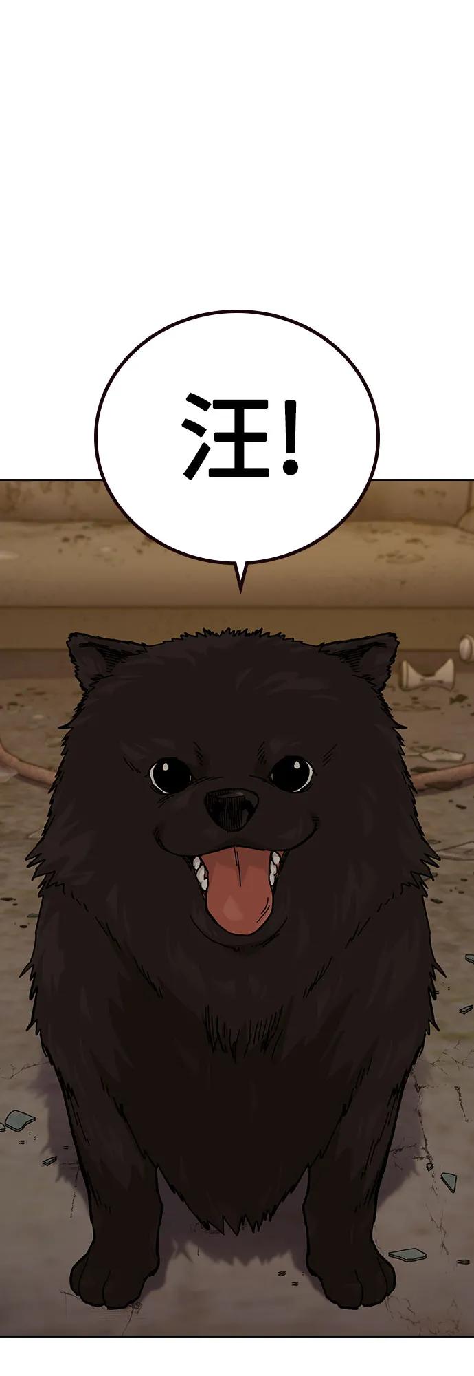 第 113 页