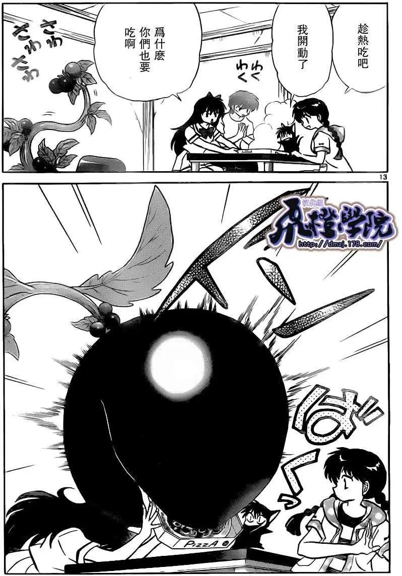 第 13 页