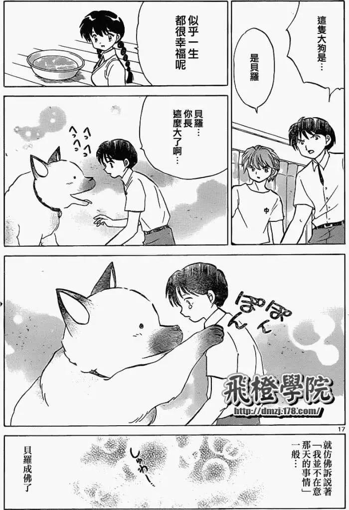 第 17 页