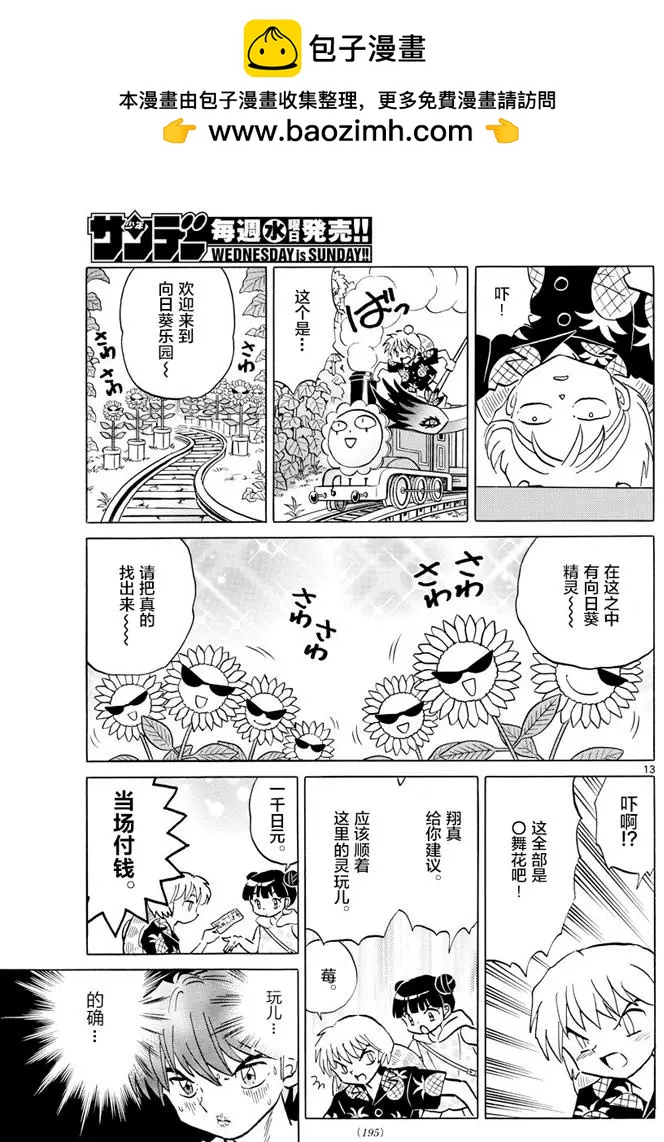 第 13 页