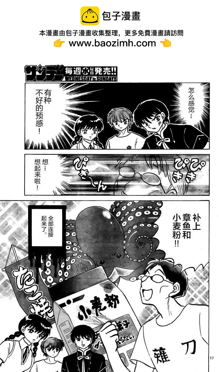 第 17 页