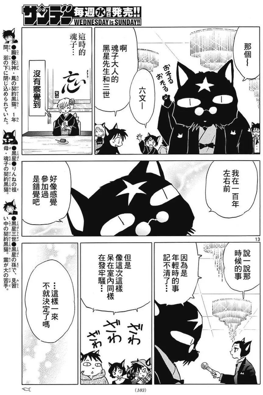第 13 页