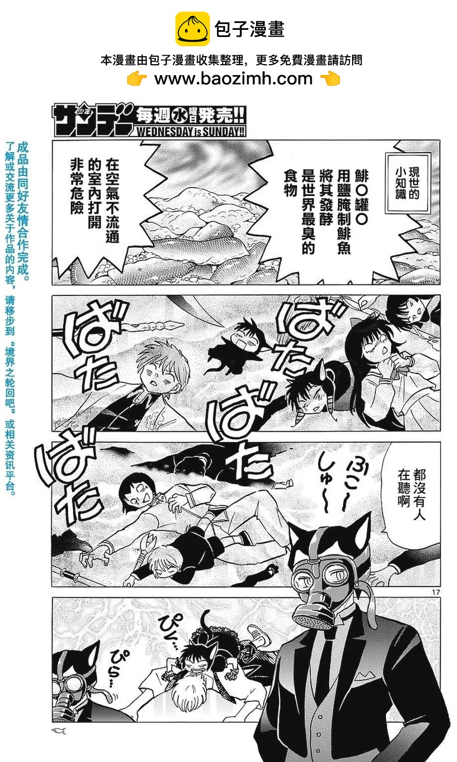 第 17 页