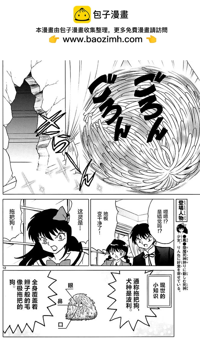 第 12 页