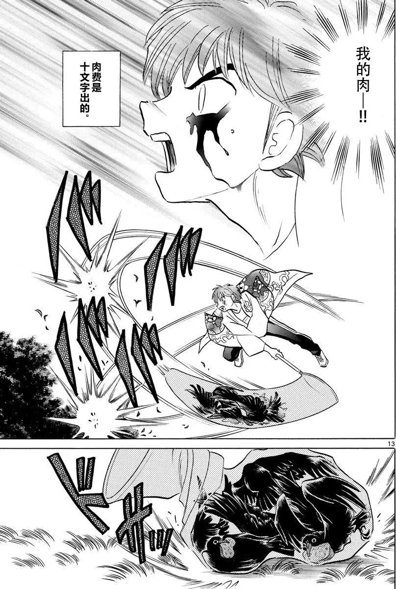 第 13 页