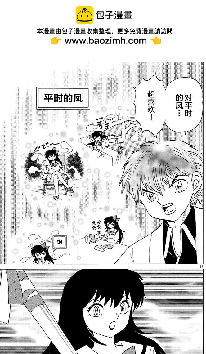第 17 页