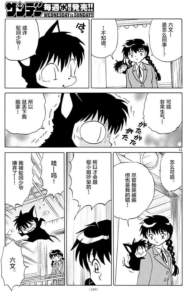 第 13 页