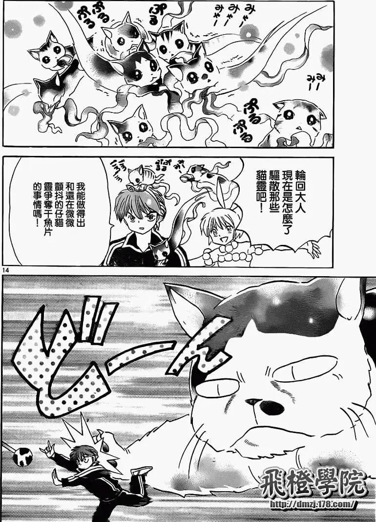 第 14 页