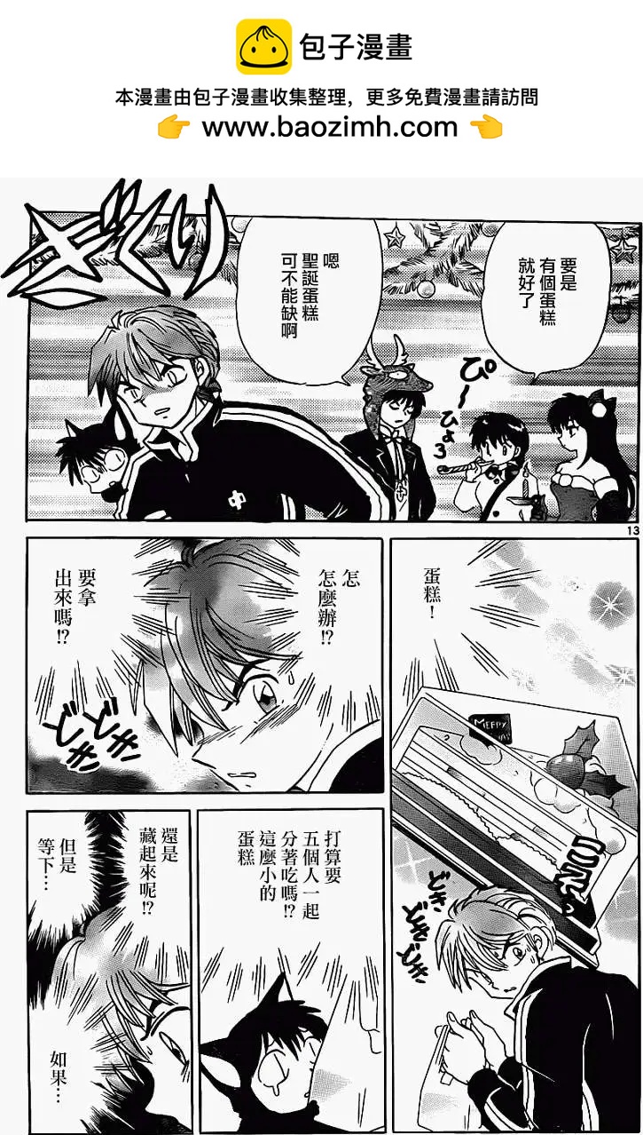 第 13 页