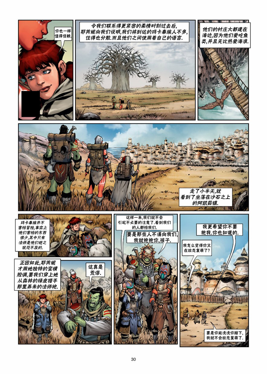 第 30 页